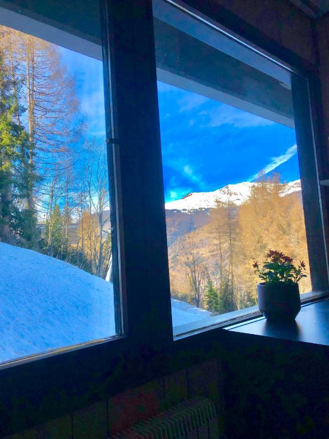 **New**Marilleva 1400**Trilocale Sulle Piste Apartamento Exterior foto